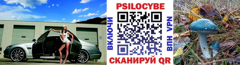 Галлюциногенные грибы Psilocybine cubensis  Болотное 